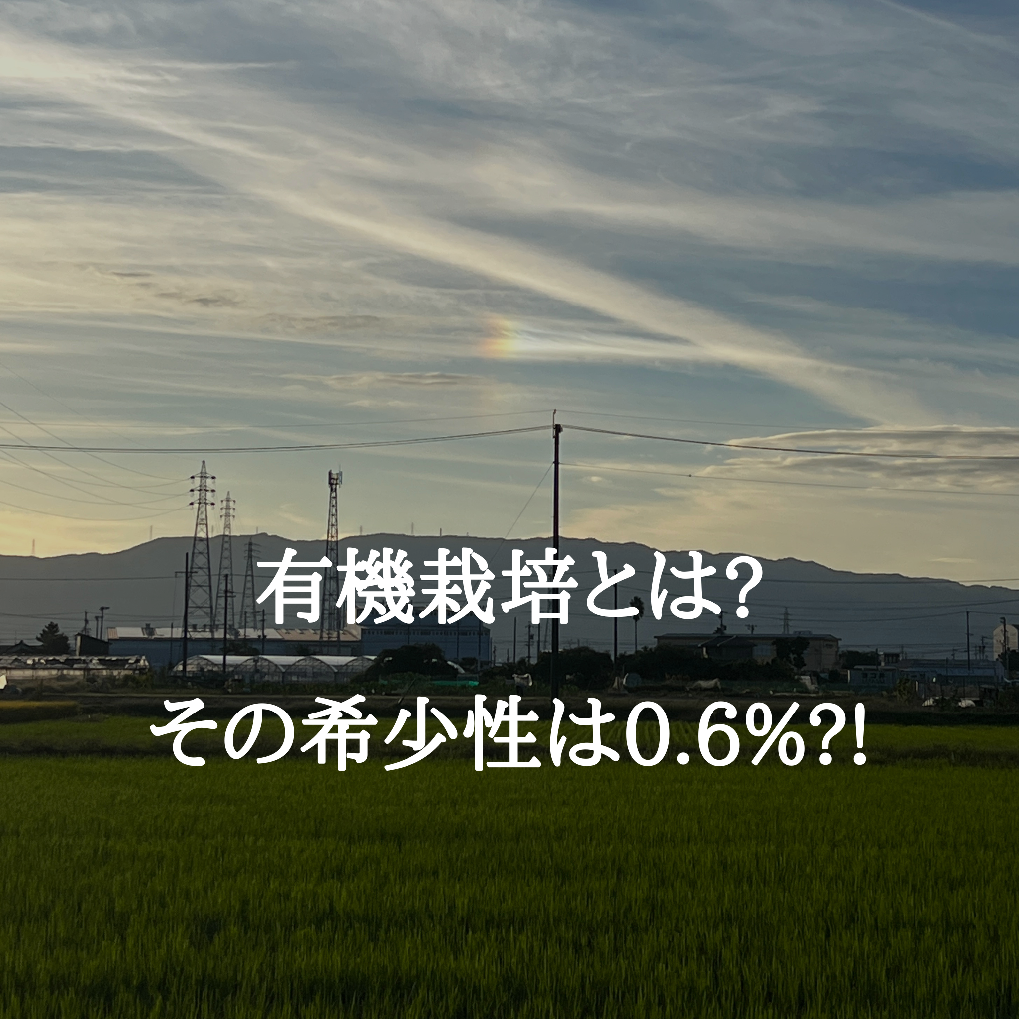 有機とは?その希少性は0.6%？