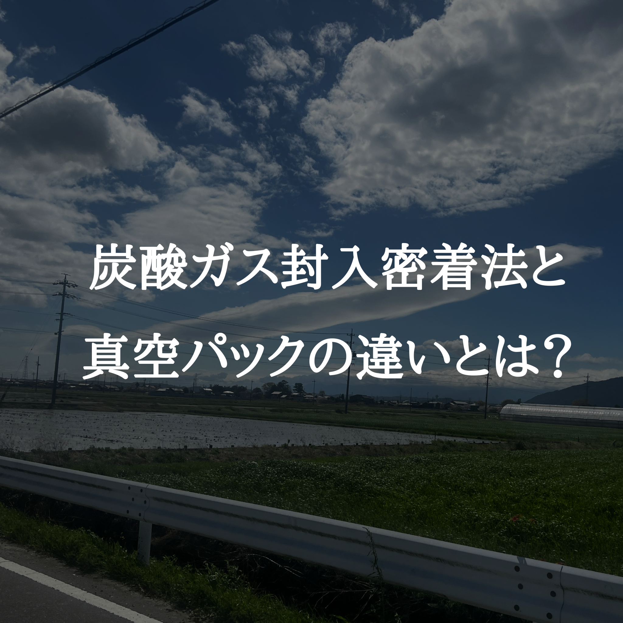 炭酸ガス封入密着法と真空パックの違いとは？