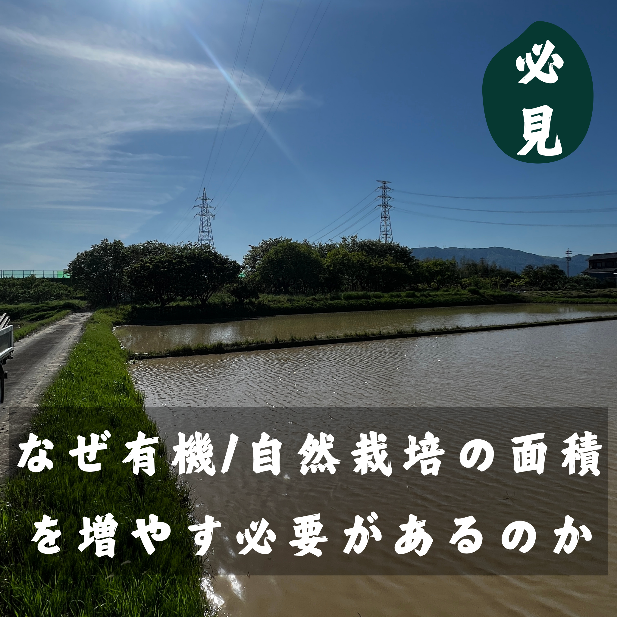 必見:なぜ有機/自然栽培の面積を増やすべきなのか/輸入依存のリスク
