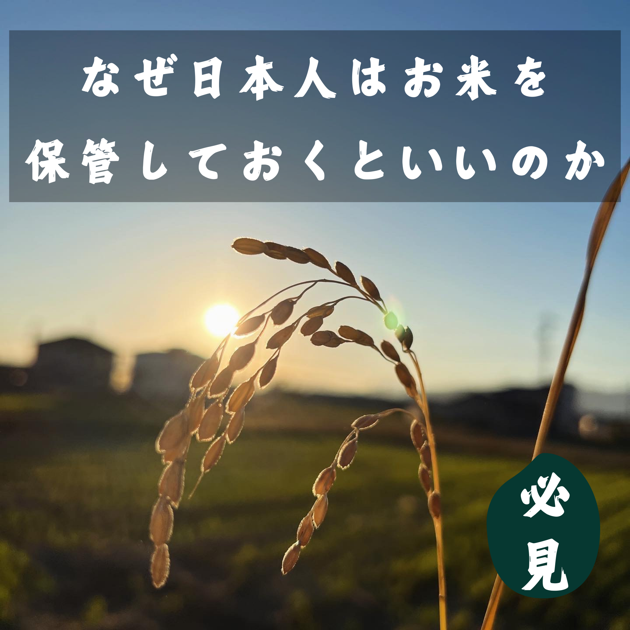 必見：なぜ日本人はお米を保管しておくといいのか