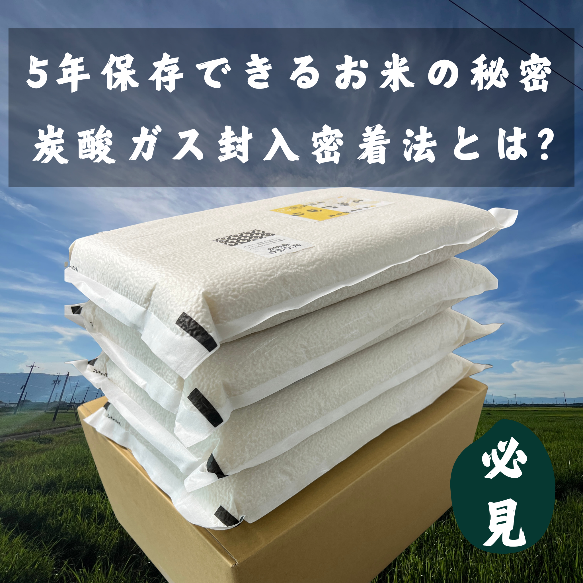 必見:5年保存できるお米の秘密/炭酸ガス封入密着包装とは?