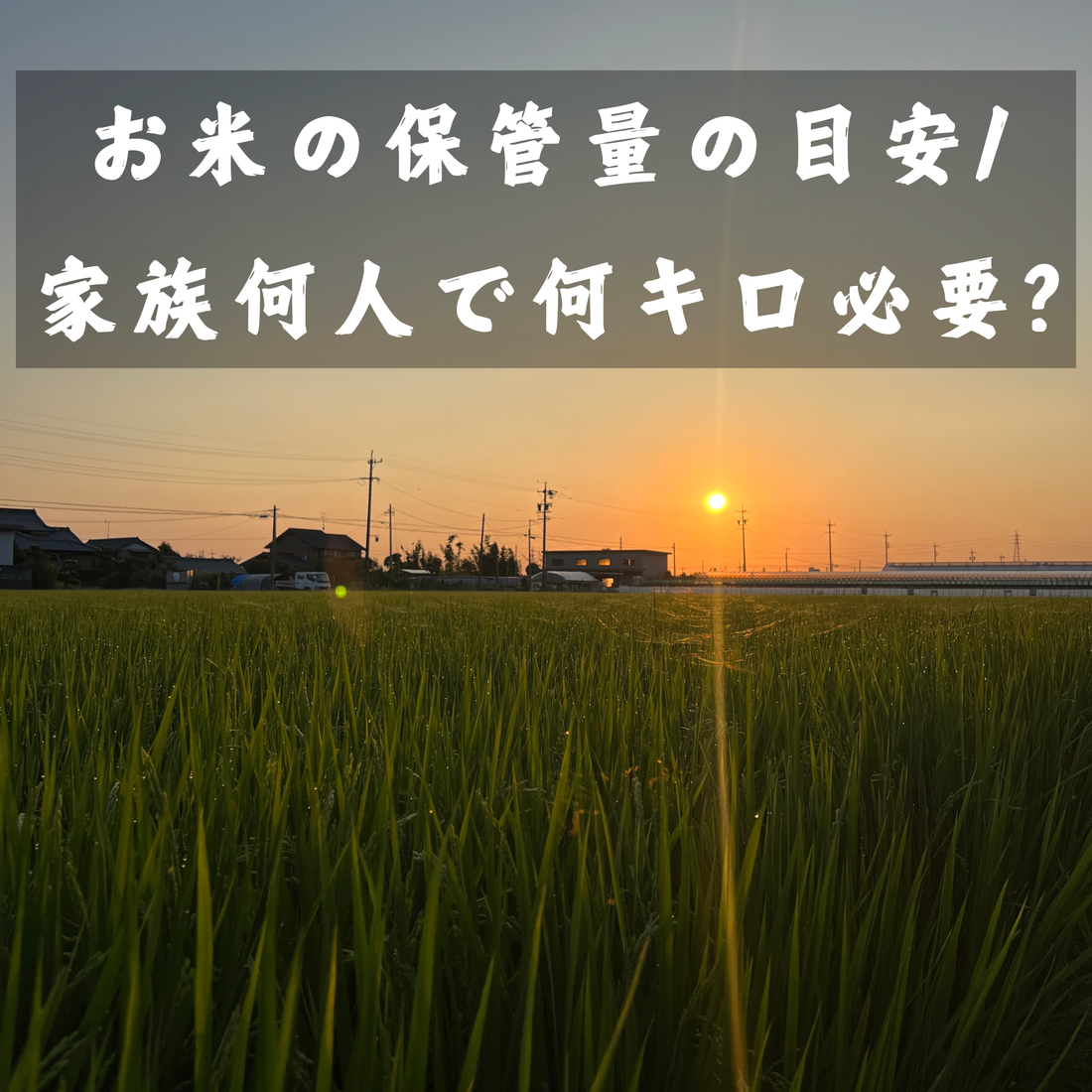 お米の保管量の目安/家族何人で何キロ必要？