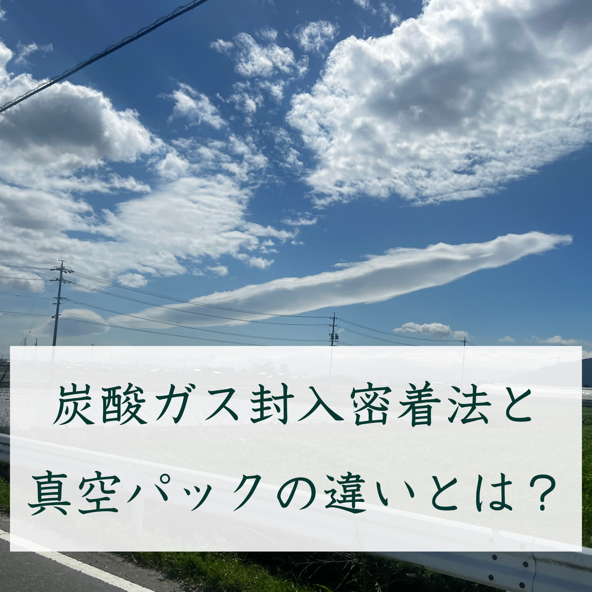 炭酸ガス封入密着法と真空パックの違いとは？