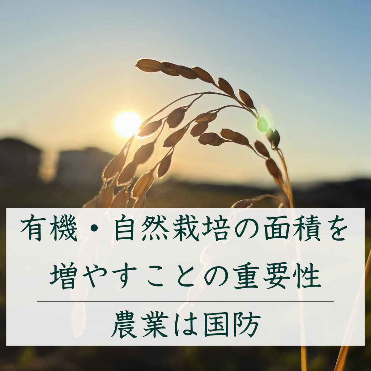 有機・自然栽培の面積を増やすことの重要性/農業は国防