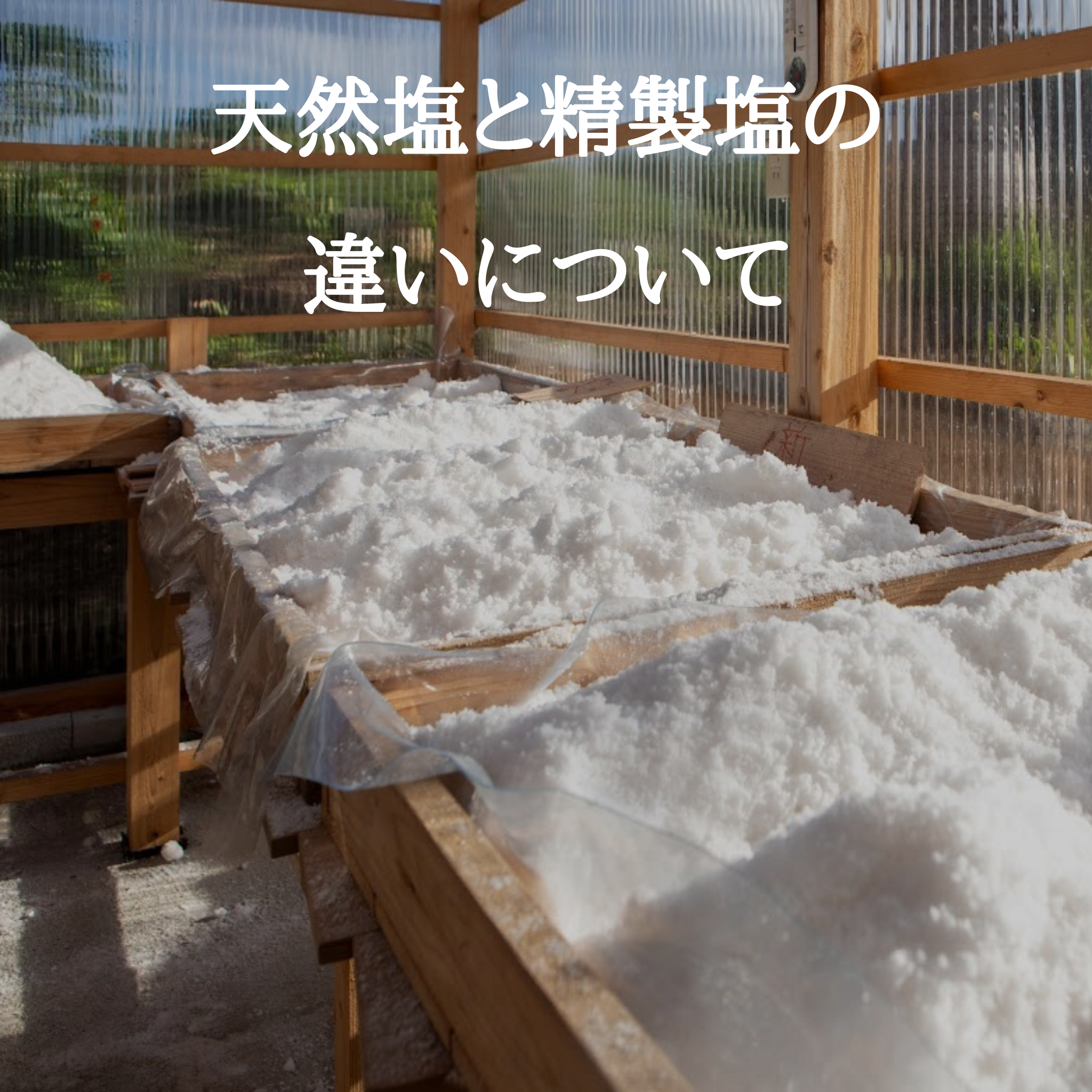 天然塩と精製塩の違い