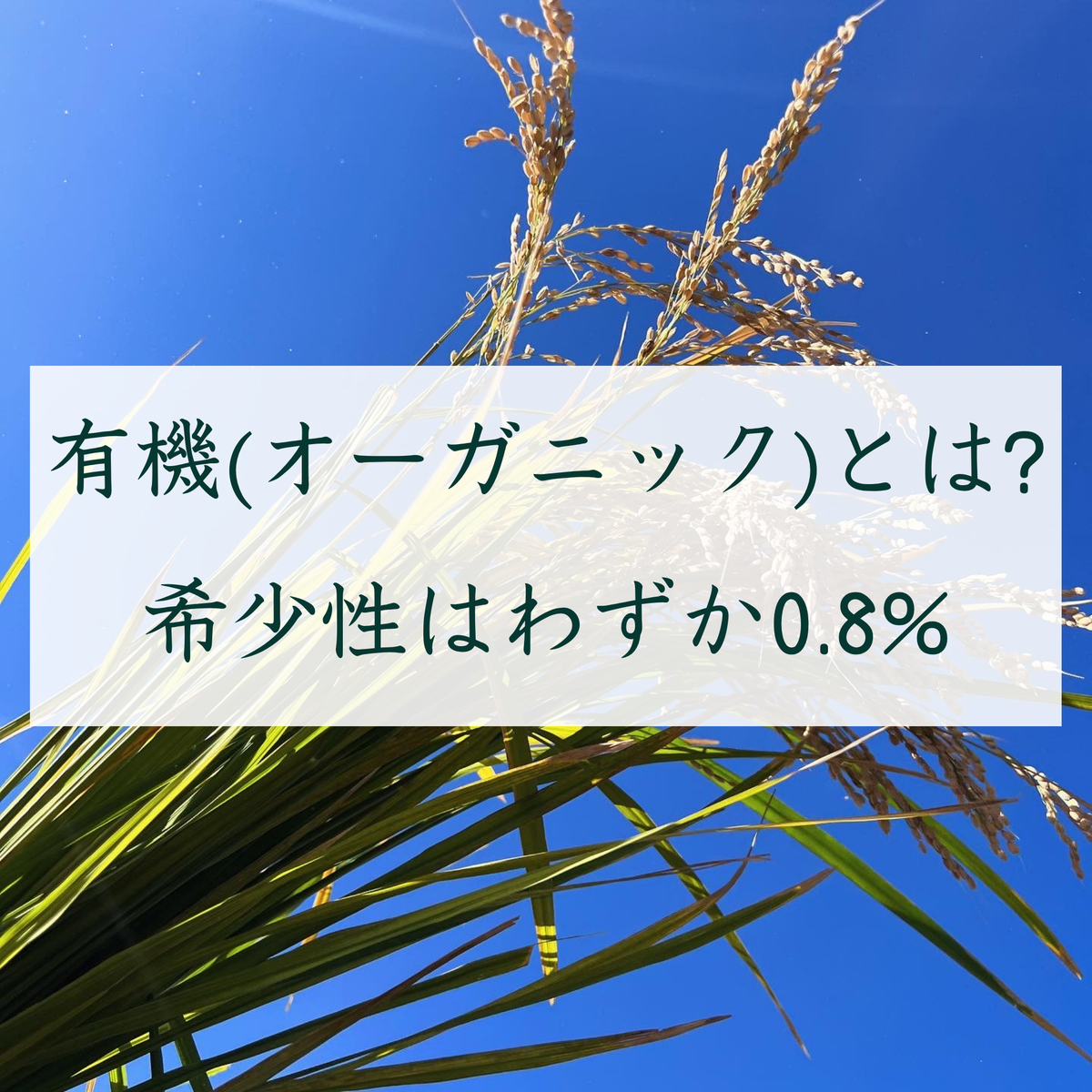 有機(オーガニック)とは？その希少性はわずか0.8%