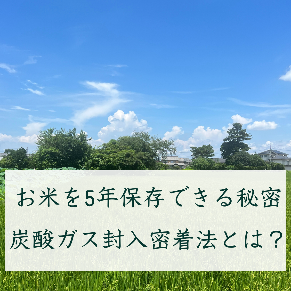 お米を5年保存できる秘密/炭酸ガス封入密着包装とは?
