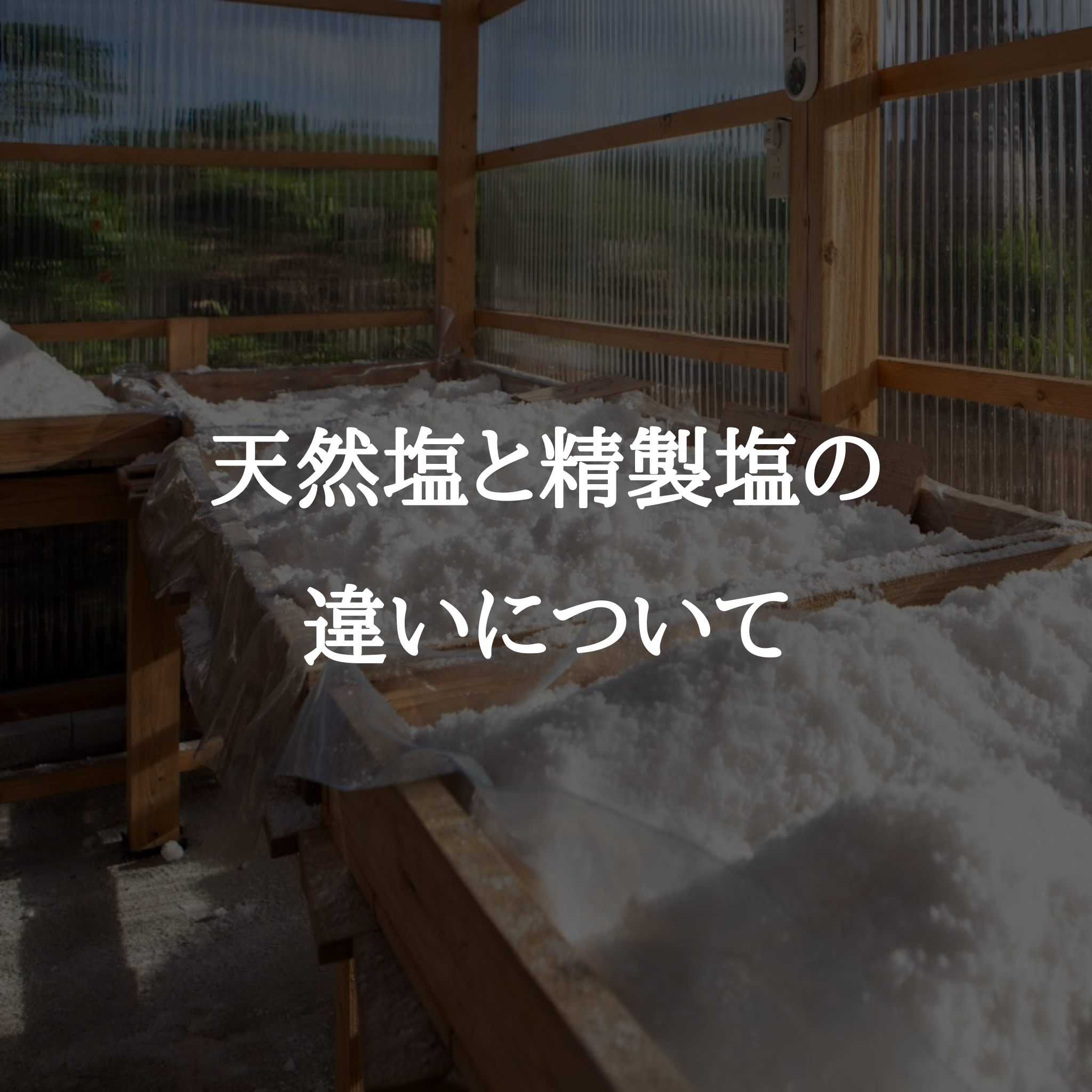 天然塩と精製塩の違い
