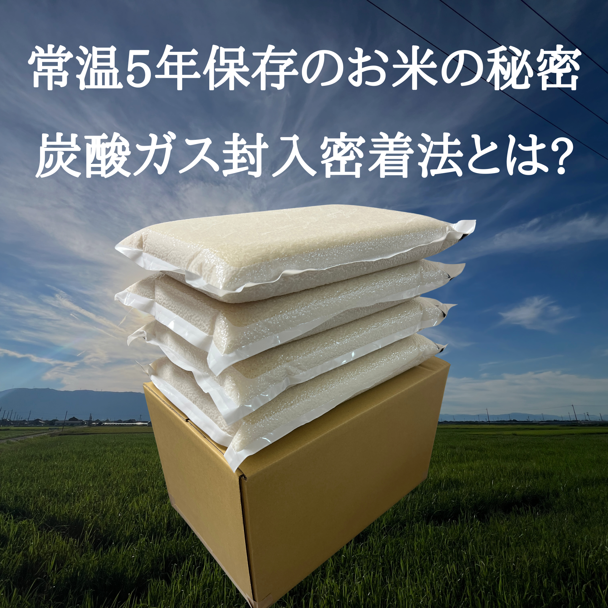 常温で5年保存できるお米の秘密/炭酸ガス封入密着包装とは?