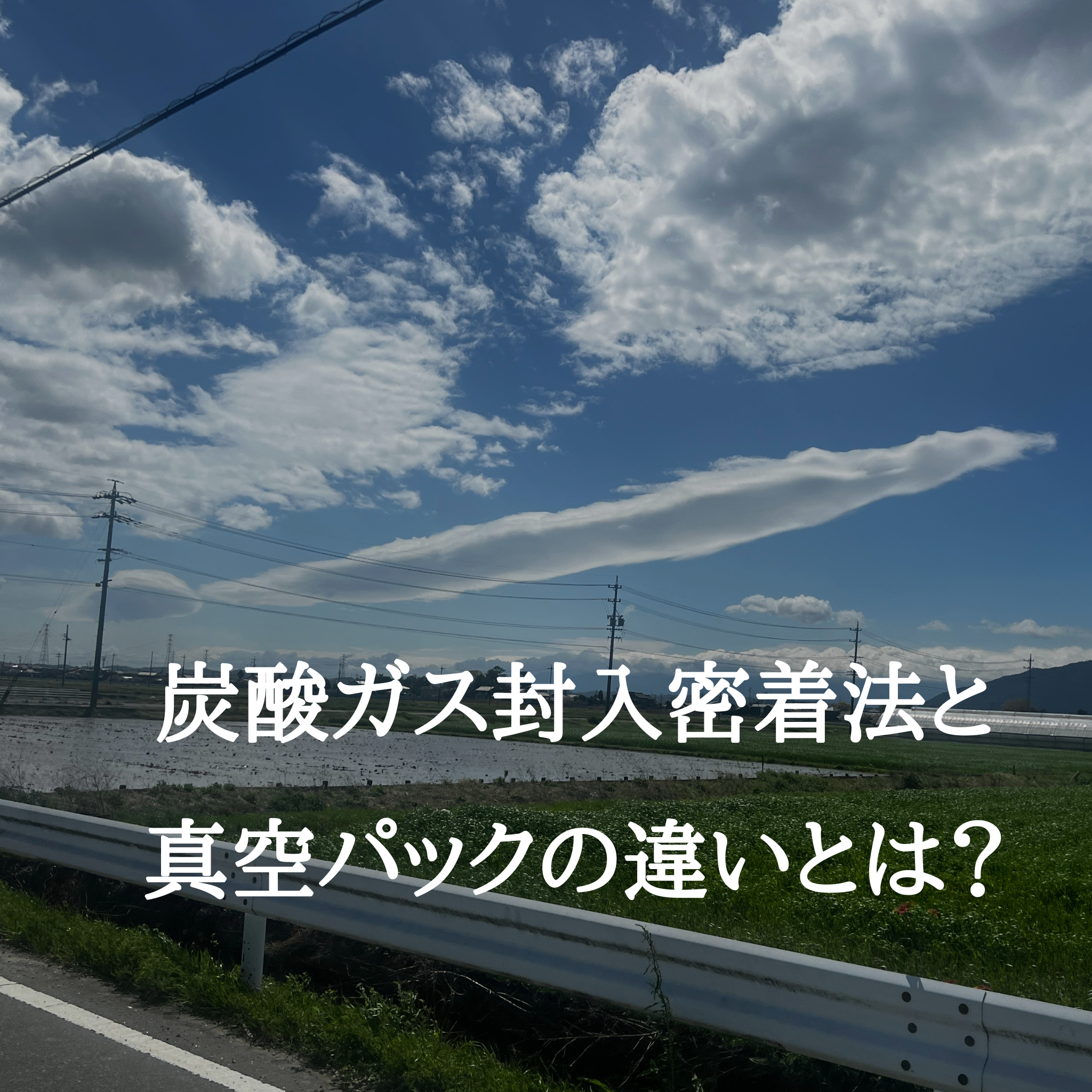 炭酸ガス封入密着法と真空パックの違いとは？