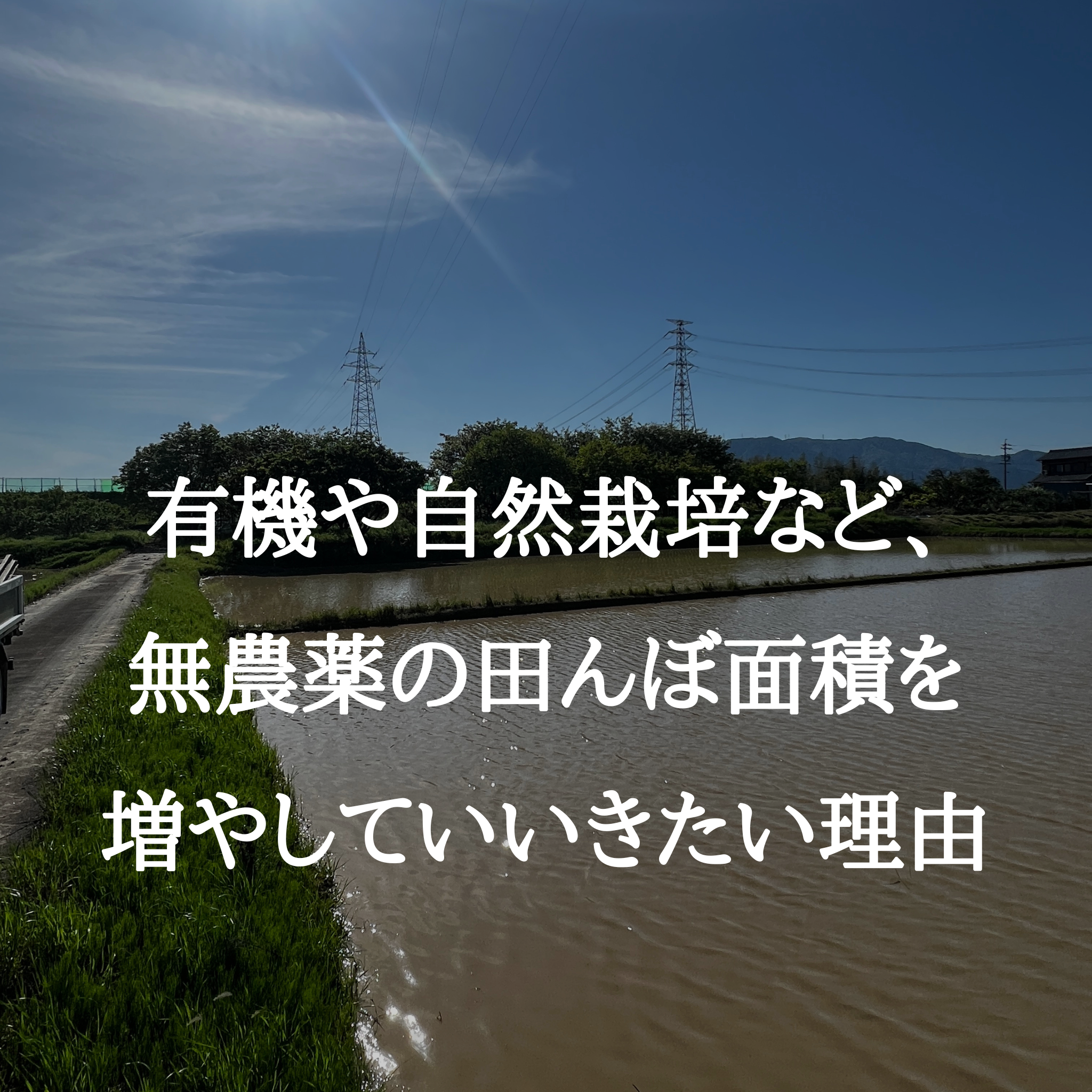 有機/自然栽培の面積を増やす必要がある理由/輸入依存のリスク