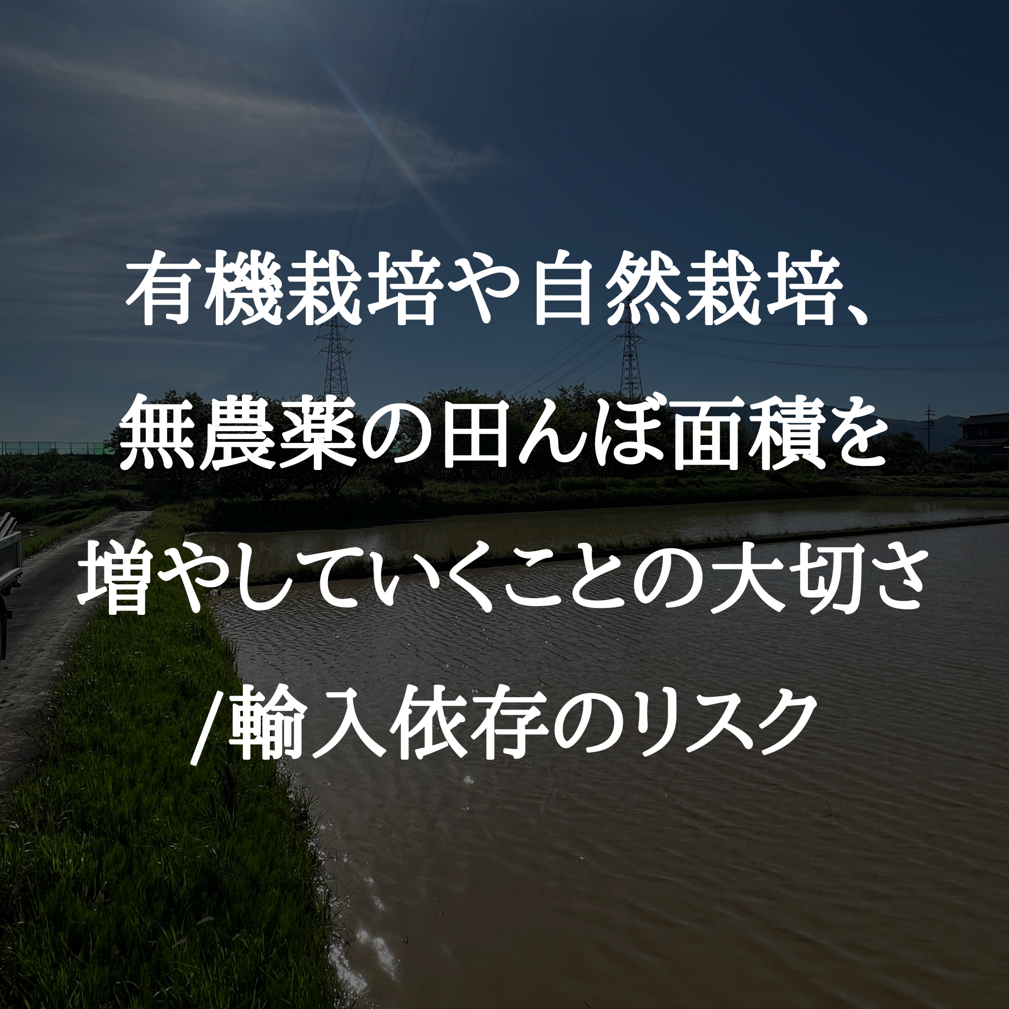 有機栽培や自然栽培、無農薬の面積を増やしていくことの大切さ/輸入依存のリスク