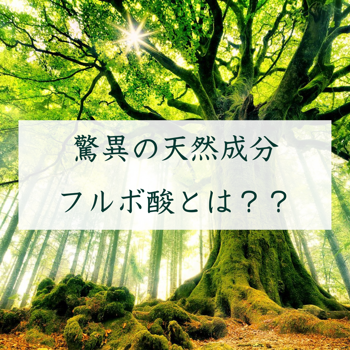 驚異の天然成分フルボ酸とは？？
