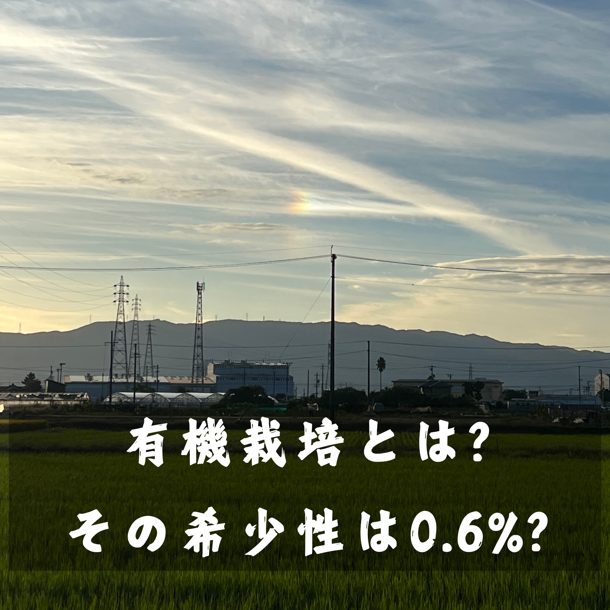 有機とは?その希少性は0.6%？