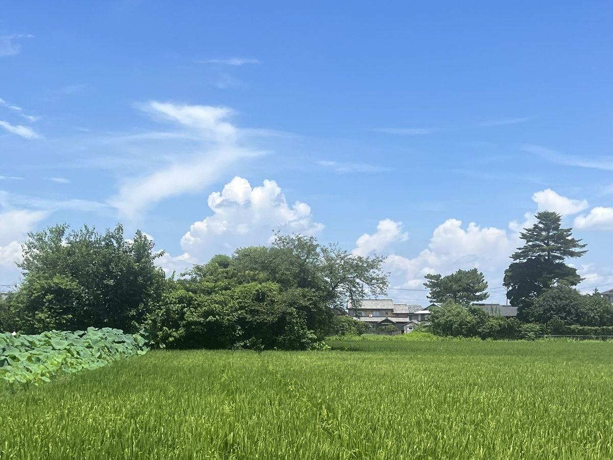 5年保存できるお米の秘密。真空パックとの違いは？