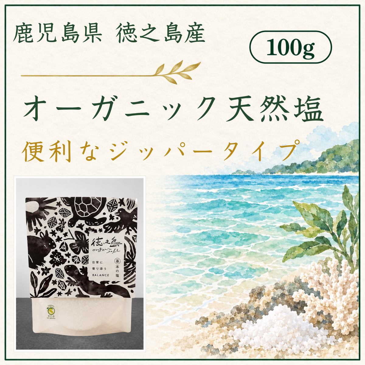 オーガニック天然塩100g（送料無料）