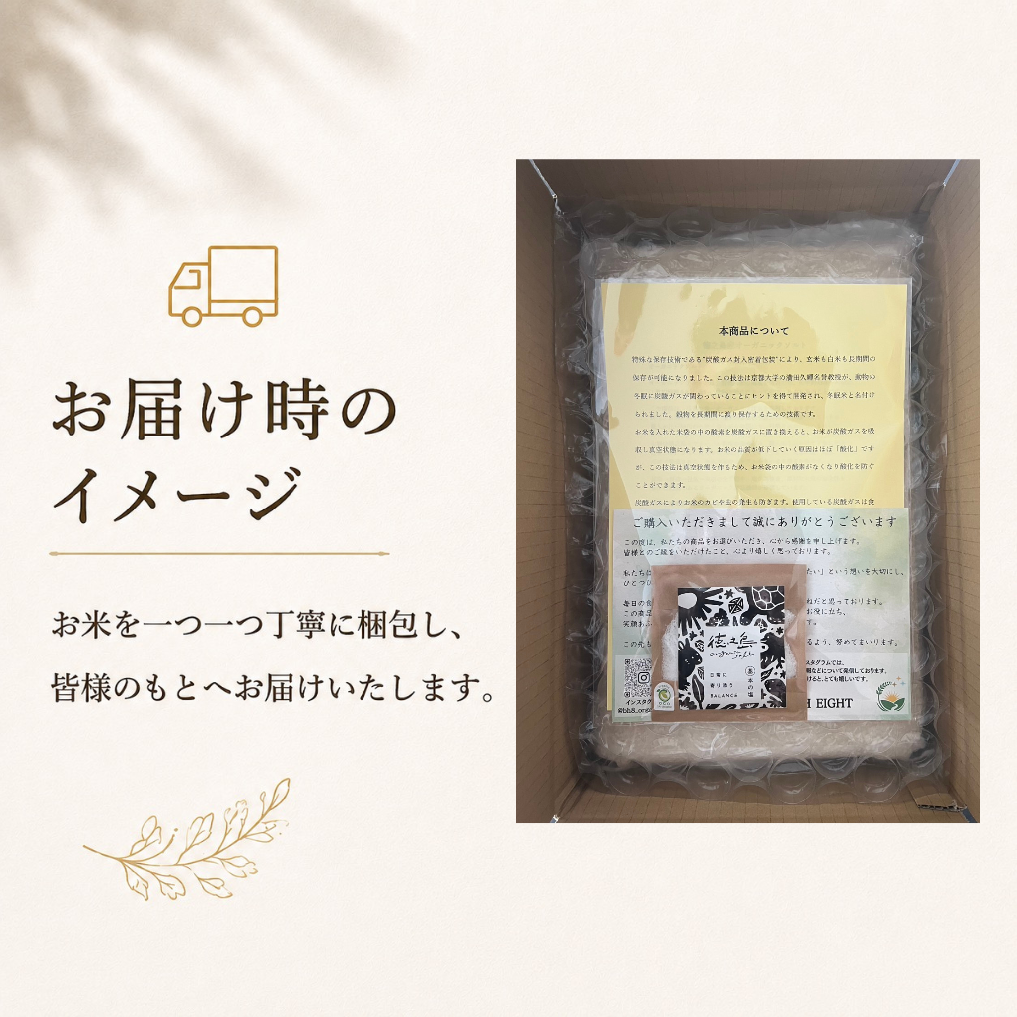 有機米きぬひかり玄米
