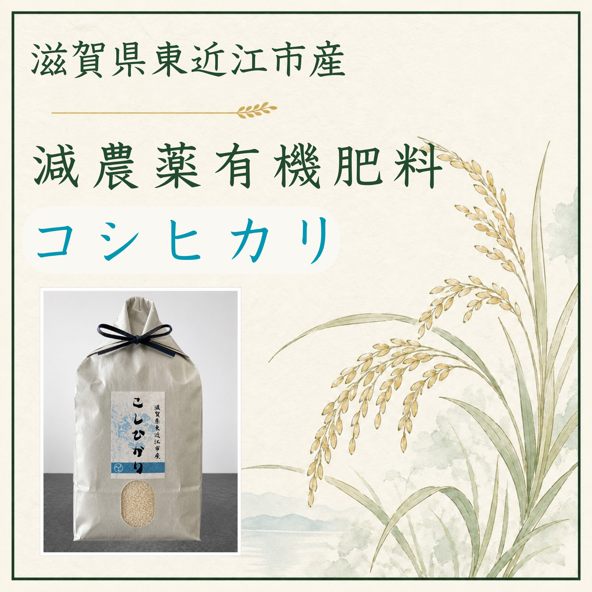 減農薬/有機肥料コシヒカリ