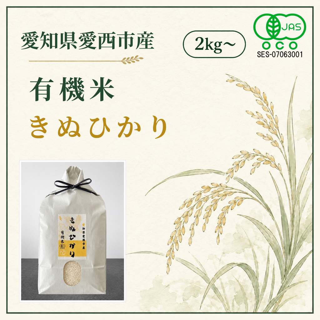 有機米きぬひかり
